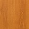 Jelša